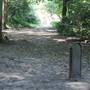 Croham Hurst