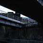 Consort Road