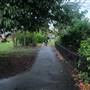 Peckham Rye Park and Common
