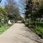 Duncan Terrace and Gardens