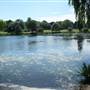 Danson Park