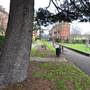 Streatham Memorial Gardens