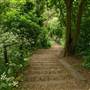 Parkland Walk