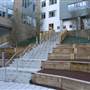 Heartlands High School
