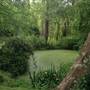 The Knoll