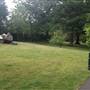 The Knoll