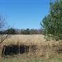 Long Island State Pine Barrens Preserve