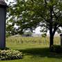 Palmer Vineyard