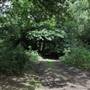 Sanderstead Plantation