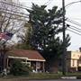 Hammonton - Stores