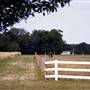 Hammonton - Condos and Vineyard