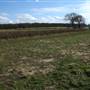 Richmal Crompton Fields