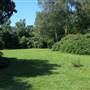 Dulwich Park
