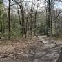 Dulwich Wood