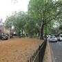 Brook Green
