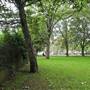 Gwendwr Gardens