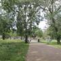 Shepherds Bush Common