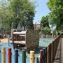 Colville Square Gardens