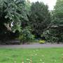 Embankment Gardens Chelsea