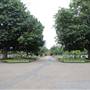 Gunnersbury Cemetery - Main Area