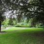 Gunnersbury Cemetery - Main Area