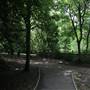 Holland Park - Main Area