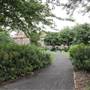 Sunbeam Gardens