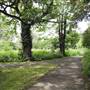 Bishops Park - Moat Garden