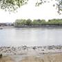Bishops Park - River Walk / Thames Path