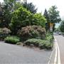Bishops Park - Bishops Avenue