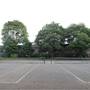 Ravenscourt Park - Tennis