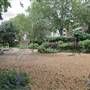 South Park - Woodland and Playground