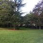 Fishponds Park