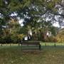Fishponds Park