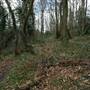 Amherst Wood Open Space