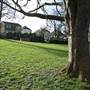 Broomhill Common