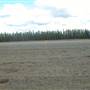 Cousins Airstrip