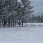 Annie Lake Golf Course