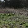 South Norwood Country Park