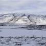 Dempster Winter