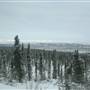 Dempster Winter