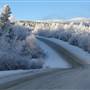 Fish Lake Road December