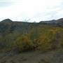 Klondike Highway