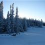 Mt Sima Ski Hill