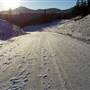 Schwatka Lake Road