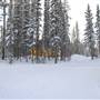 Yukon Forest Cabins
