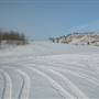 Yukon Wildlife Preserve