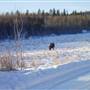 Winter Farms