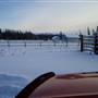 Winter Farms