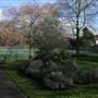 Hayes Old Rectory Gardens